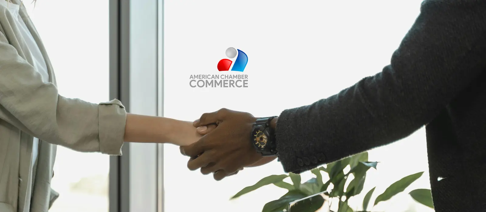 Two business professionals shaking hands in a bright office